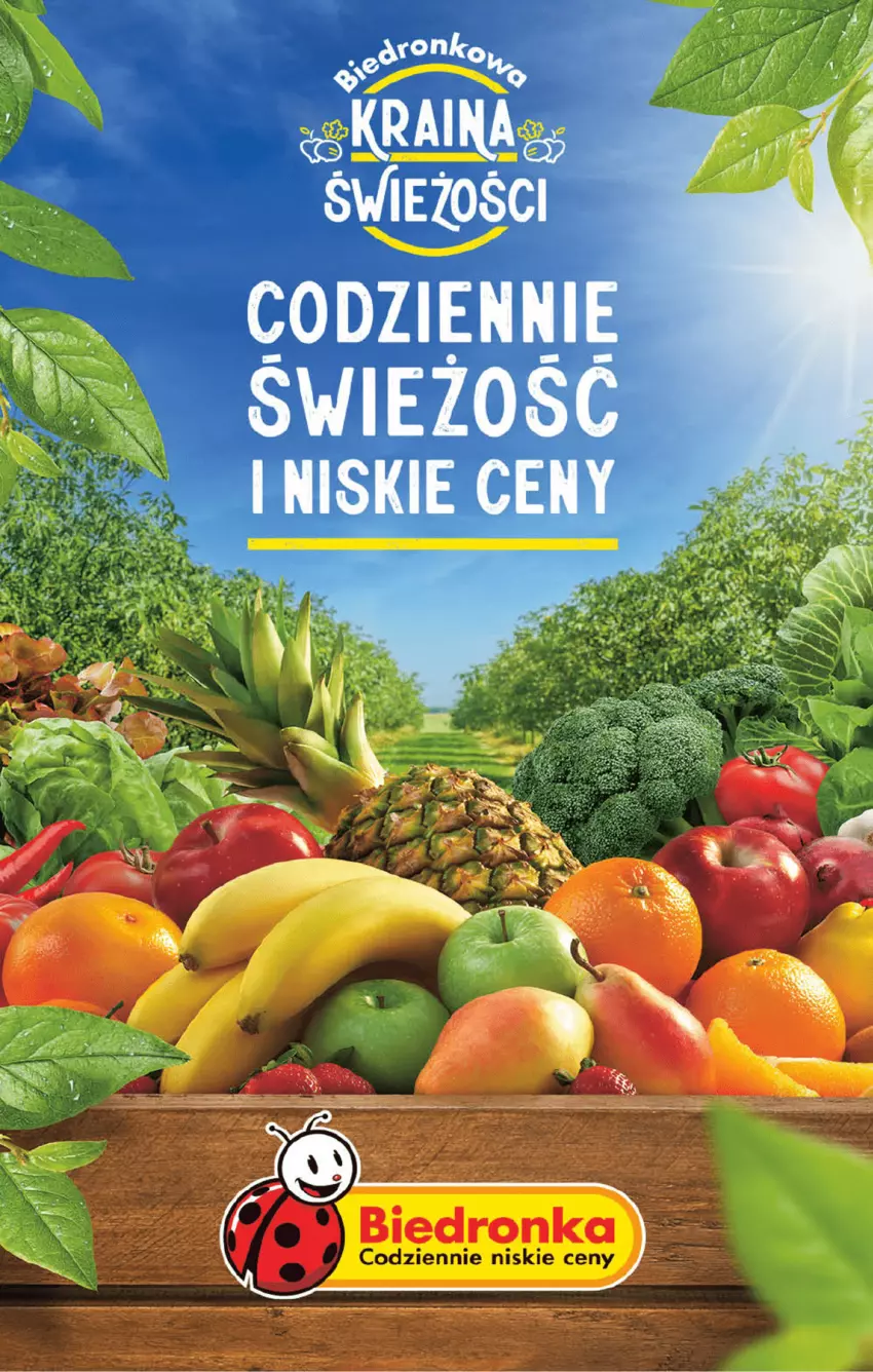 Gazetka promocyjna Biedronka - Od czwartku - ważna 24.08 do 30.08.2023 - strona 62