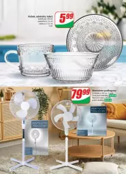 Gazetka promocyjna Dino - Gazetka - ważna od 09.07 do 09.07.2024 - strona 53 - produkty: Salaterka, Talerz, Kubek