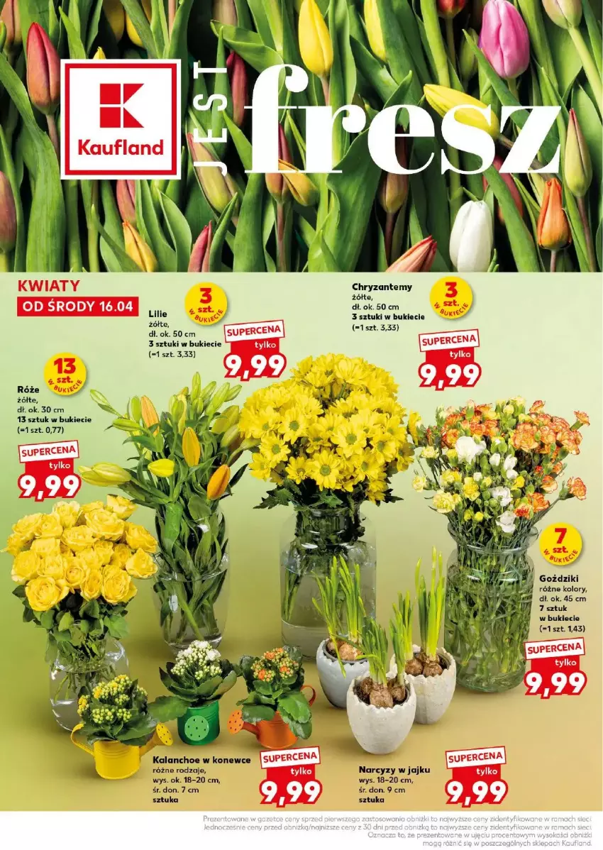 Gazetka promocyjna Kaufland - ważna 18.04 do 19.04.2025 - strona 2 - produkty: Kalanchoe, Narcyz