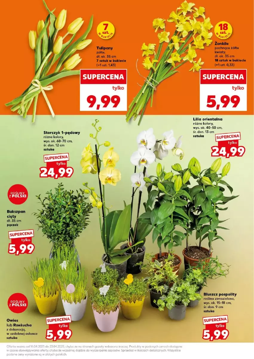 Gazetka promocyjna Kaufland - ważna 18.04 do 19.04.2025 - strona 3 - produkty: Fa, Sezam, Storczyk, Tulipan