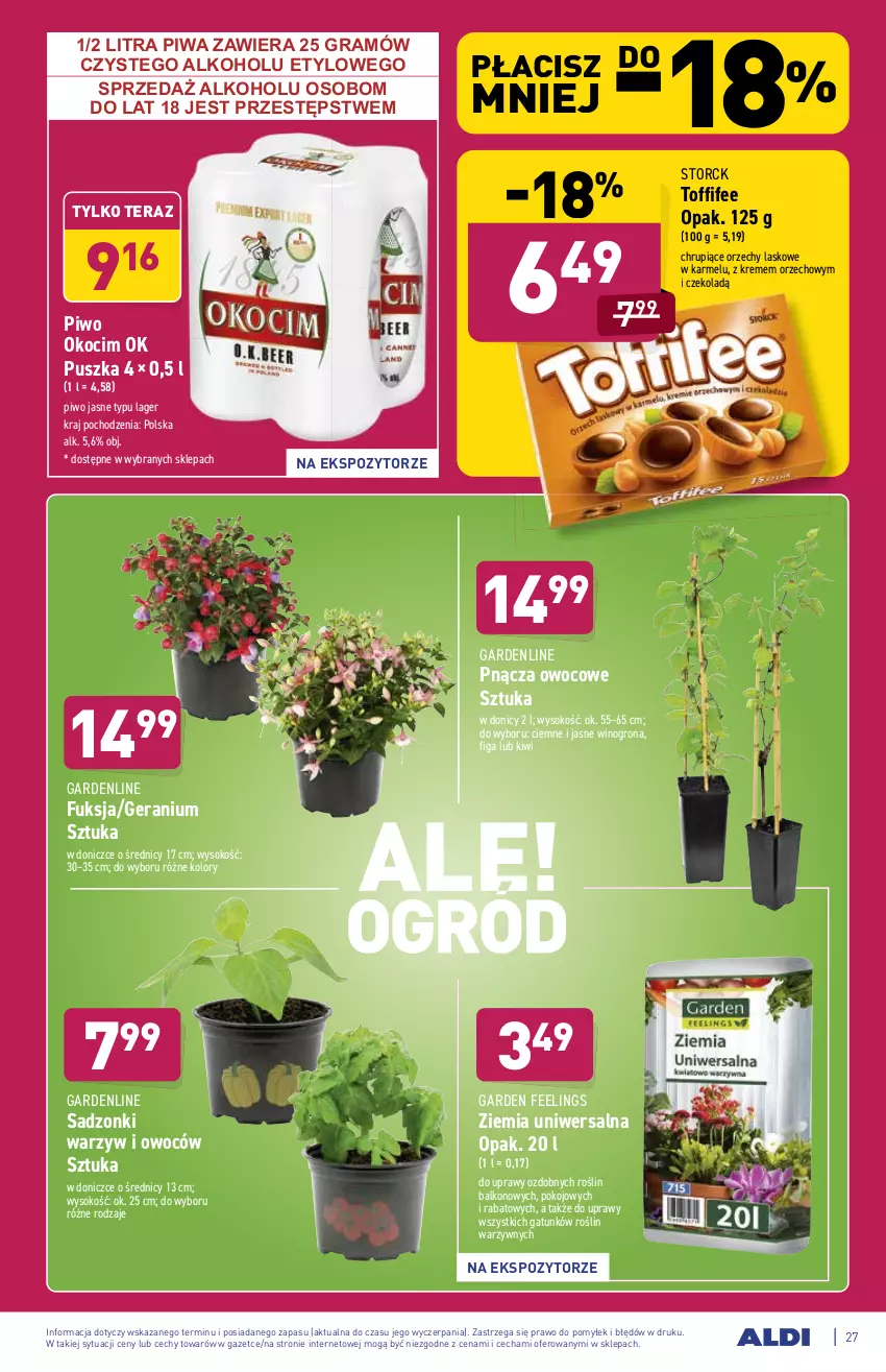 Gazetka promocyjna Aldi - ważna 24.05 do 29.05.2021 - strona 27 - produkty: Gra, Kiwi, Koc, Okocim, Piwa, Piwo, Piwo jasne, Sok, Tera, Toffifee, Wino, Winogrona