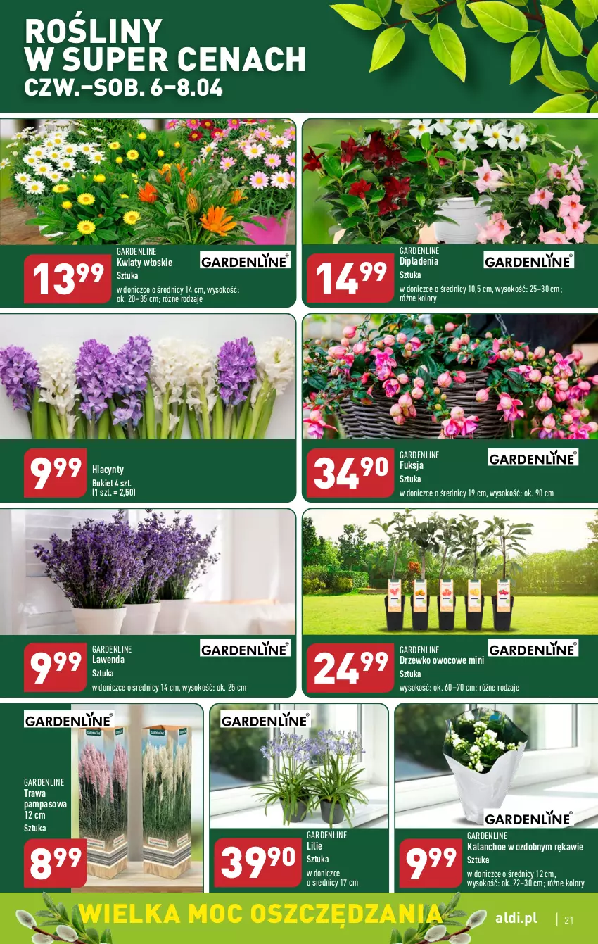 Gazetka promocyjna Aldi - Pełen katalog - ważna 03.04 do 08.04.2023 - strona 21 - produkty: Bukiet, Hiacynt, Kalanchoe, Sok