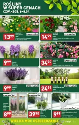 Gazetka promocyjna Aldi - Pełen katalog - Gazetka - ważna od 08.04 do 08.04.2023 - strona 21 - produkty: Sok, Hiacynt, Kalanchoe, Bukiet