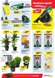 Gazetka promocyjna Bricomarche - Gazetka - Gazetka - ważna od 18.09 do 18.09.2021 - strona 7 - produkty: Odkurzacz, Sos, Ser, Tulipan, Rozdrabniacz, Orka, Ogród