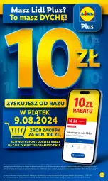 Gazetka promocyjna Lidl - GAZETKA - Gazetka - ważna od 10.08 do 10.08.2024 - strona 5 - produkty: Gra, Napoje, Znicz, Karmi