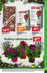 Gazetka promocyjna Stokrotka - Market - Gazetka - ważna od 28.04 do 28.04.2025 - strona 23 - produkty: Warzywa, Sos, Sok, O nas, Pojemnik, Owoce, Waga, Ogród, Mięso