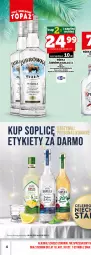 Gazetka promocyjna Topaz - Gazetka - Gazetka - ważna od 31.05 do 31.05.2025 - strona 9 - produkty: Soplica, Wódka