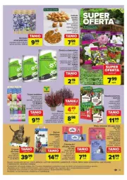 Gazetka promocyjna Carrefour - Gazetka - ważna od 07.09 do 07.09.2024 - strona 25 - produkty: Chusteczki, Drapak, Nawóz