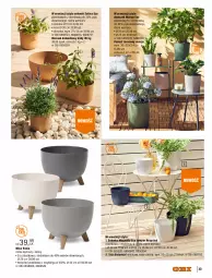 Gazetka promocyjna Obi - Gazetka OBI - Gazetka - ważna od 30.06 do 30.06.2022 - strona 33 - produkty: Sati, Taca, Osłonka