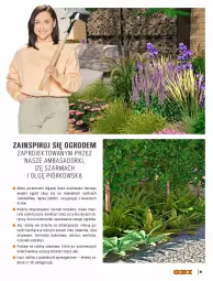 Gazetka promocyjna Obi - Gazetka OBI - Gazetka - ważna od 30.06 do 30.06.2022 - strona 81 - produkty: Por, Róża, Czosnek, Bukiet, Ogród, LG