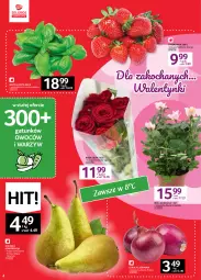 Gazetka promocyjna Selgros - Oferta spożywcza - Gazetka - ważna od 15.02 do 15.02.2023 - strona 4 - produkty: Cebula czerwona, Cebula, Koc, Róża, Bukiet, Bazyl, Bazylia, LG