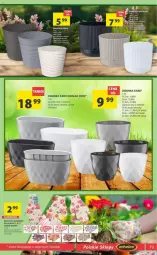 Gazetka promocyjna Arhelan - Gazetka - ważna od 18.02 do 18.02.2024 - strona 11 - produkty: Rękawice, Osłonka, LG