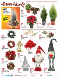 Gazetka promocyjna E Leclerc - Gazetka - ważna od 19.12 do 19.12.2021 - strona 20 - produkty: Teleskop, Choinka, Inka, Poinsecja, Gwiazda, Ozdoba, Bukiet, Flora, Skrzat