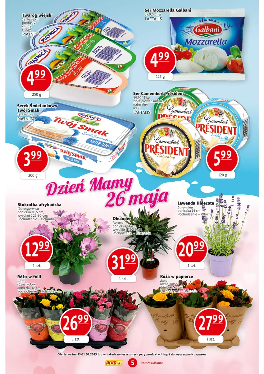 Gazetka promocyjna Prim Market - ważna 25.05 do 31.05.2023 - strona 5 - produkty: Camembert, Galbani, Mozzarella, Papier, Róża, Ser, Sok, Twaróg