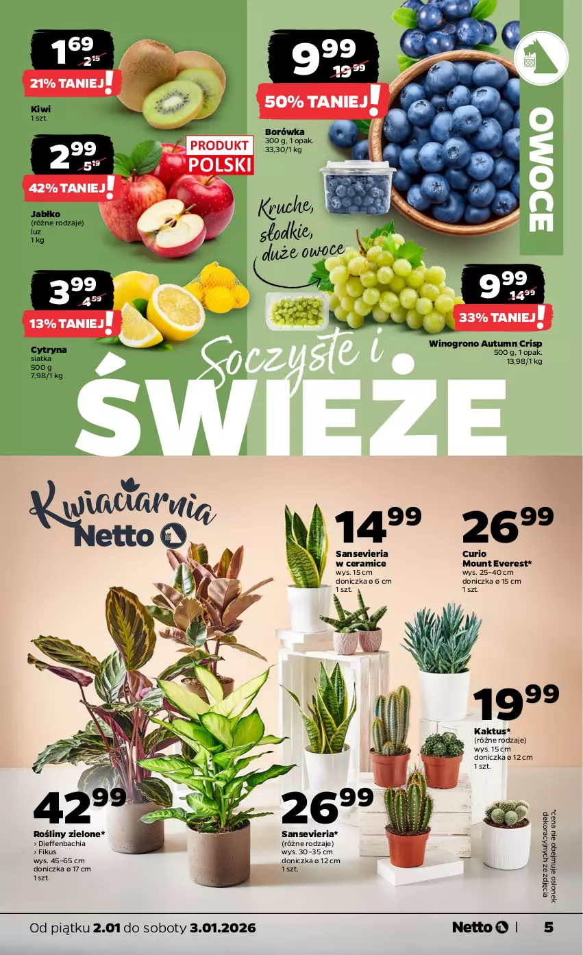 Gazetka promocyjna Netto - Od Piątku - ważna 02.01 do 03.01.2026 - strona 5 - produkty: Borówka, Chia, Kaktus, Kiwi, NBA, Owoce, Siatka, Wino