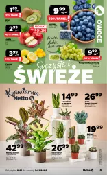 Gazetka promocyjna Netto - Od Piątku - Gazetka - ważna od 03.01 do 03.01.2026 - strona 5 - produkty: NBA, Borówka, Kaktus, Chia, Kiwi, Siatka, Owoce, Wino