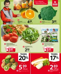 Gazetka promocyjna Selgros - Oferta spożywcza - Gazetka - ważna od 03.02 do 03.02.2021 - strona 3 - produkty: Sałatka, Rukola, Kiwi, Pomarańcze, Salsa, Sałat, Brokuły, LG