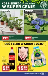 Gazetka promocyjna Aldi - Pełna oferta - Gazetka - ważna od 29.07 do 29.07.2023 - strona 25 - produkty: Kurczak, Coca-Cola, Tera