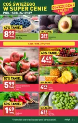 Gazetka promocyjna Aldi - Pełna oferta - Gazetka - ważna od 29.07 do 29.07.2023 - strona 3 - produkty: Ananas, Brzoskwinie, Rzodkiewka