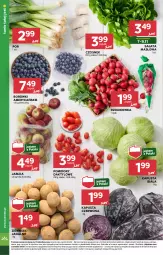 Gazetka promocyjna Stokrotka - Supermarket Opole/Radom - Gazetka - ważna od 13.11 do 13.11.2024 - strona 8 - produkty: Warzywa, Por, Sałata masłowa, Czosnek, Ziemniaki, Siatka, Sałat, Owoce, Masło, Pomidory, Rzodkiewka, Jabłka