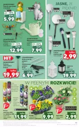 Gazetka promocyjna Kaufland - OFERTA TYGODNIA - Gazetka - ważna od 30.03 do 30.03.2021 - strona 45 - produkty: Latarnia, Por, Gra, Konewka, Borówka, Róża, Stek, Kret, Tera, Aronia, Gres, Lampa