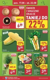 Gazetka promocyjna Aldi - Pełna oferta - Gazetka - ważna od 21.08 do 21.08.2026 - strona 4 - produkty: Piec, Buraczki, All Seasons, Por, Lack, Grill, Kukurydza