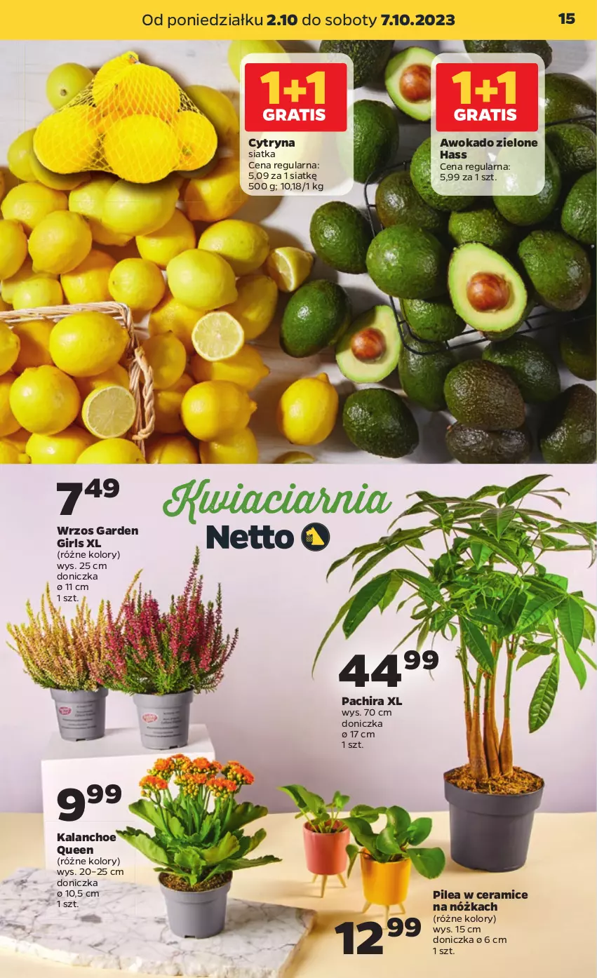Gazetka promocyjna Netto - Artykuły spożywcze - ważna 02.10 do 07.10.2023 - strona 15 - produkty: Kalanchoe, Siatka