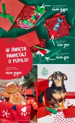 Gazetka promocyjna Rossmann - 16 grudzień - Gazetka - ważna od 27.12 do 27.12.2022 - strona 13 - produkty: Zabawka, Mięta