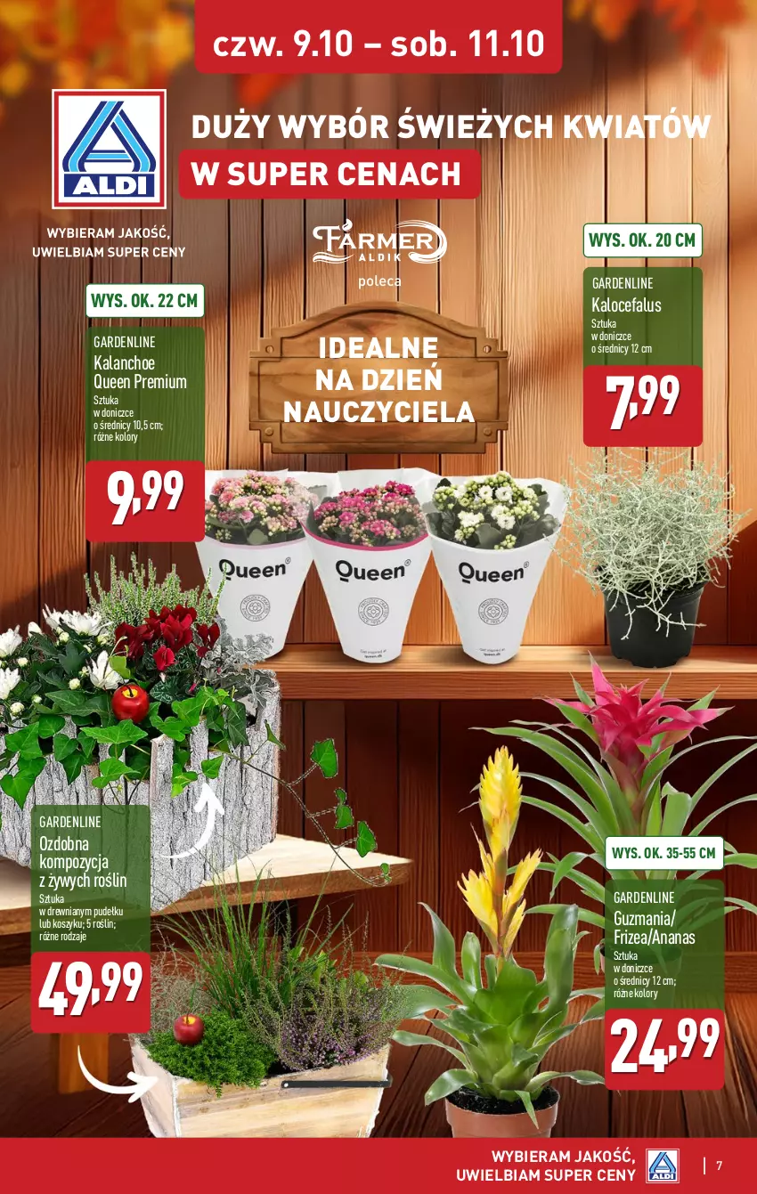 Gazetka promocyjna Aldi - Oferta specjalna - ważna 09.10 do 11.10.2025 - strona 7 - produkty: Ananas, Fa, Kalanchoe, Kosz