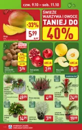 Gazetka promocyjna Aldi - Oferta specjalna - Gazetka - ważna od 11.10 do 11.10.2025 - strona 4 - produkty: Warzywa, Gra, Granat, Warzywa i owoce, Ananas, Kosz, Ziemniaki, Tera, Owoce, Mango, Melon, Fa