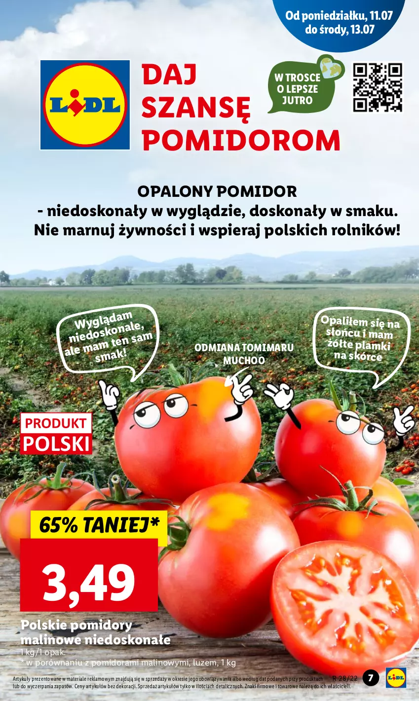 Gazetka promocyjna Lidl - GAZETKA - ważna 11.07 do 13.07.2022 - strona 7 - produkty: Pomidory, Por, Rolnik
