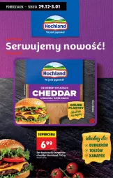 Gazetka promocyjna Biedronka - Od Poniedziałku - Gazetka - ważna od 03.01 do 03.01.2026 - strona 79 - produkty: Cheddar, Ser, Burger, Hochland, Fa