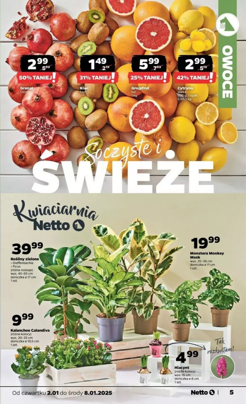 Gazetka promocyjna Netto - ważna 02.01 do 08.01.2025 - strona 18 - produkty: Chia, Hiacynt, NBA, Tera