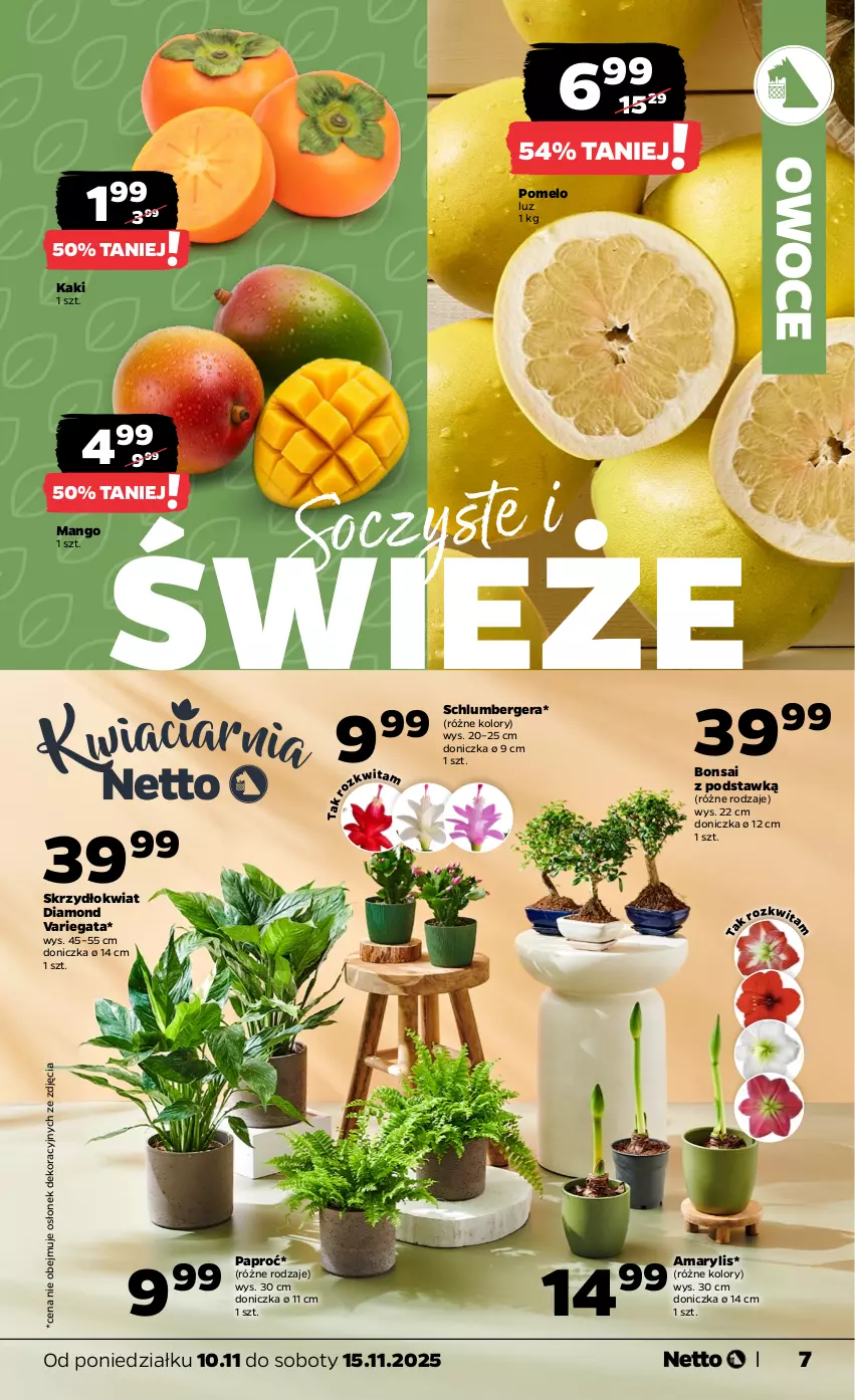 Gazetka promocyjna Netto - Od Poniedziałku - ważna 10.11 do 15.11.2025 - strona 7 - produkty: Amarylis, Kaki, Mango, Owoce, Pomelo