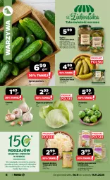 Gazetka promocyjna Netto - Od Poniedziałku - Gazetka - ważna od 15.11 do 15.11.2025 - strona 6 - produkty: Sałatka, Warzywa, Brukselka, Ogórek, Czosnek, Sałat, Grunt