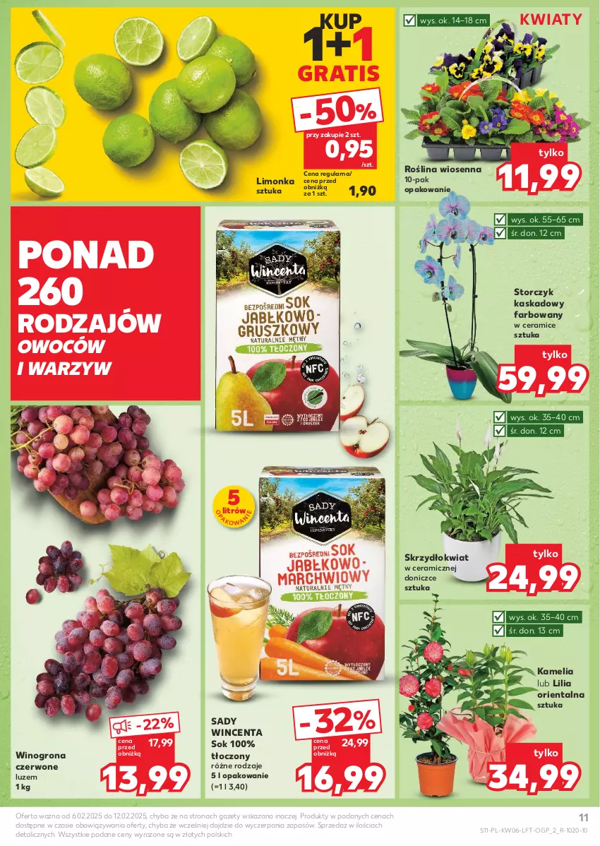 Gazetka promocyjna Kaufland - Gazetka tygodnia - ważna 06.02 do 12.02.2025 - strona 11 - produkty: Fa, Gra, Kask, Limonka, Sok, Storczyk, Wino, Winogrona