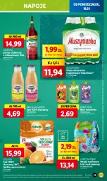Gazetka promocyjna Lidl - GAZETKA - Gazetka - ważna od 20.03 do 20.03.2024 - strona 51 - produkty: Sok, Kaktus, Ananas, Napoje, Syrop, Woda, Mango, Napój, Herbapol