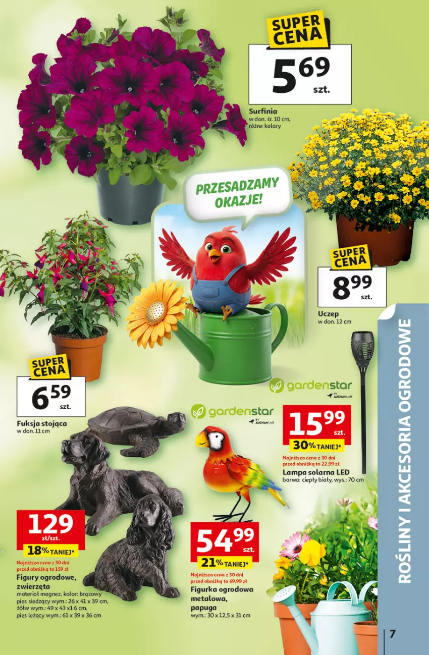 Gazetka promocyjna Auchan - 30 Lat Hipermarket - ważna 23.04 do 28.04.2026 - strona 7 - produkty: Lampa, Magnez, Surf, Zwierzęta