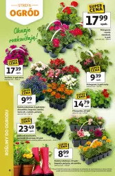 Gazetka promocyjna Auchan - 30 Lat Hipermarket - Gazetka - ważna od 28.04 do 28.04.2026 - strona 6 - produkty: Ser, Truskawki, Surf, Deser, Aksam