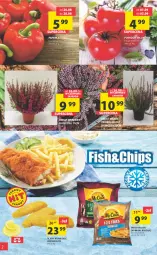 Gazetka promocyjna Arhelan - Gazetka - Gazetka - ważna od 04.09 do 04.09.2022 - strona 2 - produkty: Papryka, McCain, Tilapia, Frytki, Pomidor malinowy