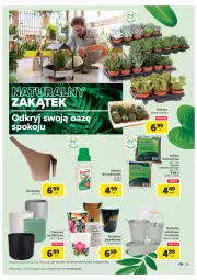 Gazetka promocyjna Carrefour - Gazetka Carrefour - Gazetka - ważna od 28.02 do 28.02.2022 - strona 29 - produkty: Konewka, Inka, Kaktus, Nawóz, Osłonka