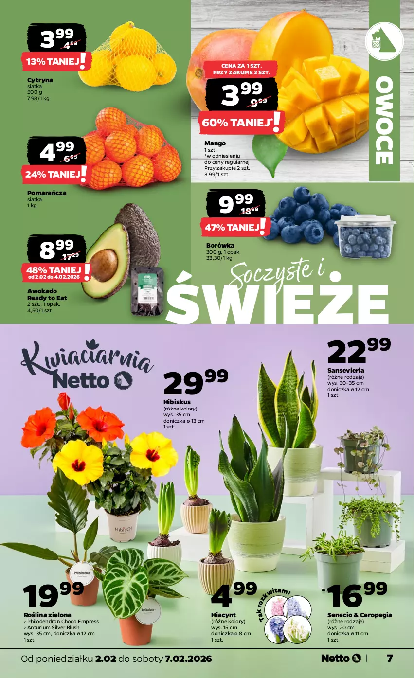 Gazetka promocyjna Netto - Od Poniedziałku - ważna 02.02 do 07.02.2026 - strona 7 - produkty: Borówka, Hiacynt, Hibiskus, Mango, Owoce, Siatka