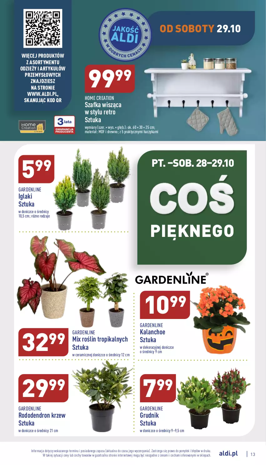 Gazetka promocyjna Aldi - Zaplanuj zakupy wcześniej - ważna 26.10 do 29.10.2022 - strona 13 - produkty: Haczyk, Kalanchoe, Szafka