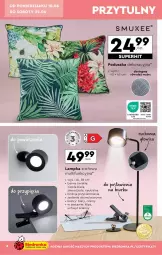 Gazetka promocyjna Biedronka - Gazetka - ważna od 23.06 do 23.06.2024 - strona 6 - produkty: Piec, Poduszka dekoracyjna, Silan, Poduszka, Akumulator