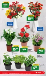 Gazetka promocyjna PoloMarket - Gazetka pomocyjna - Gazetka - ważna od 20.06 do 20.06.2023 - strona 11 - produkty: Bukiet