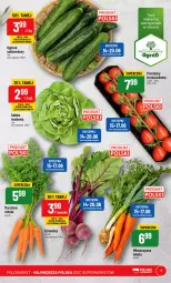 Gazetka promocyjna PoloMarket - Gazetka pomocyjna - Gazetka - ważna od 20.06 do 20.06.2023 - strona 9 - produkty: Sałata masłowa, Inka, Ogórek, Sałat, Moda, Masło, Pomidory