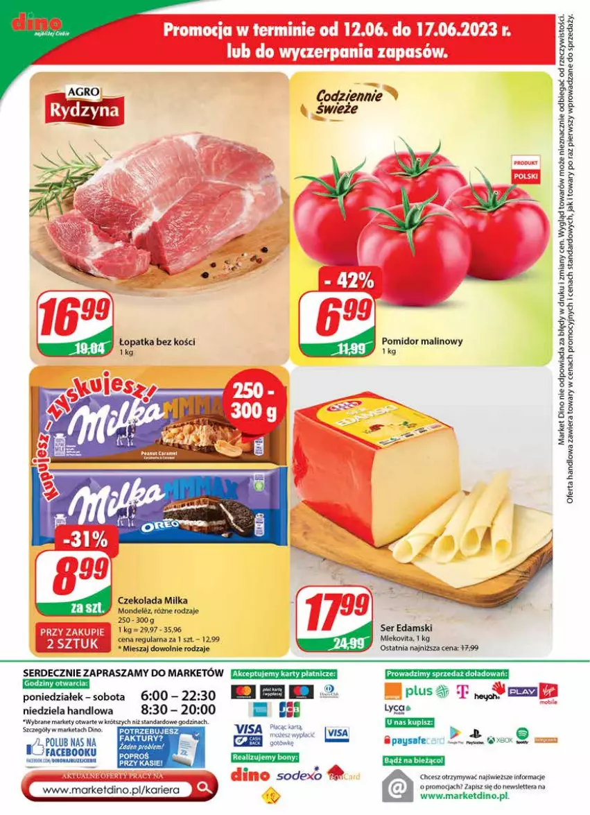 Gazetka promocyjna Dino - G24 - ważna 14.06 do 20.06.2023 - strona 24 - produkty: Czekolada, Edam, Milka, Mleko, Mlekovita, Pomidor malinowy, Ser, Tera