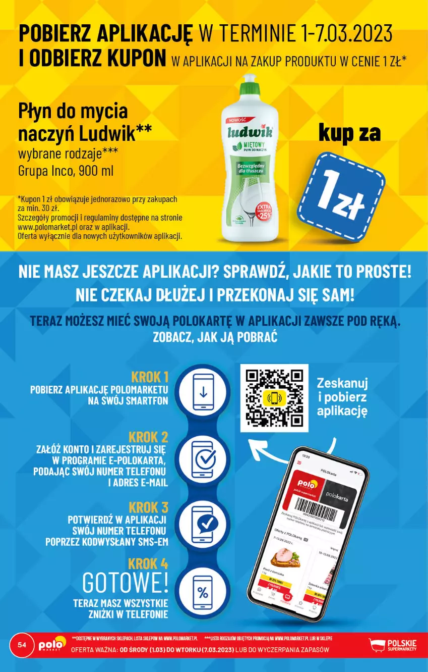 Gazetka promocyjna PoloMarket - Gazetka pomocyjna - ważna 01.03 do 07.03.2023 - strona 54 - produkty: Ludwik, Płyn do mycia, Tera