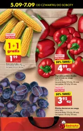 Gazetka promocyjna Biedronka - Od Czwartku - Gazetka - ważna od 11.09 do 11.09.2024 - strona 17 - produkty: Papryka, Kukurydza