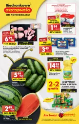 Gazetka promocyjna Biedronka - Gazetka - ważna od 03.06 do 03.06.2023 - strona 1 - produkty: Kurczak, Kujawski, Kaktus, Ogórek, Mlekovita, , Lody, Olej rzepakowy, Arbuz, Harnaś, Masło, Olej, Mleko